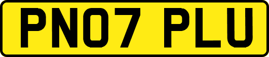 PN07PLU
