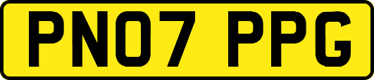 PN07PPG