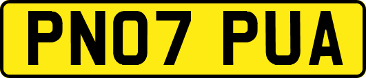 PN07PUA