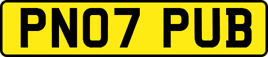 PN07PUB