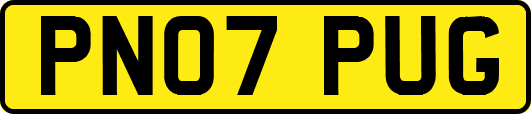 PN07PUG