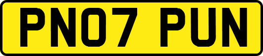 PN07PUN