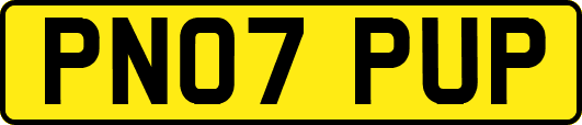 PN07PUP