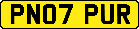 PN07PUR
