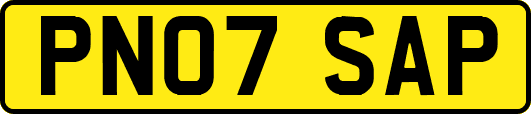 PN07SAP
