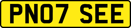 PN07SEE