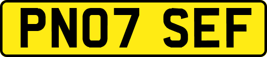 PN07SEF