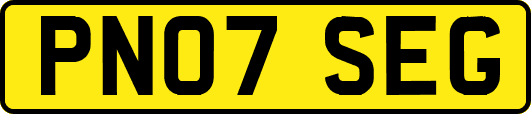 PN07SEG