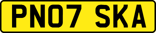 PN07SKA