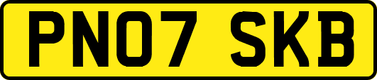 PN07SKB
