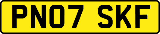 PN07SKF