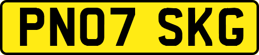 PN07SKG