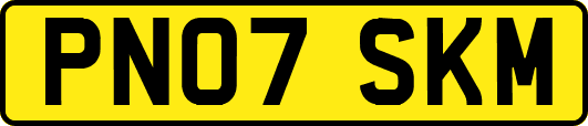 PN07SKM