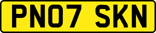 PN07SKN