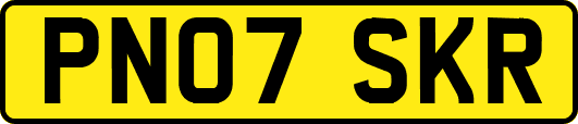 PN07SKR