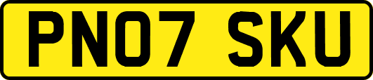 PN07SKU