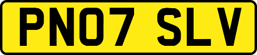 PN07SLV