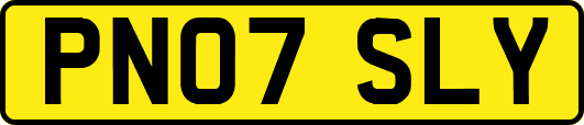 PN07SLY