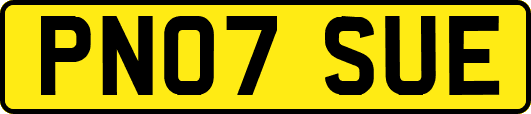 PN07SUE
