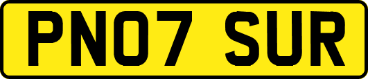 PN07SUR