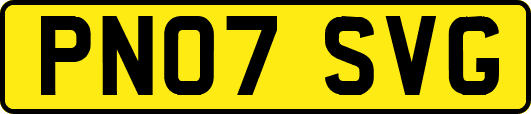 PN07SVG