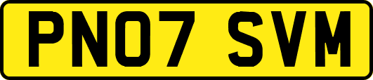 PN07SVM