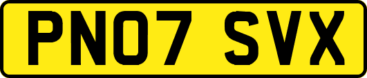 PN07SVX