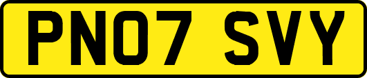 PN07SVY