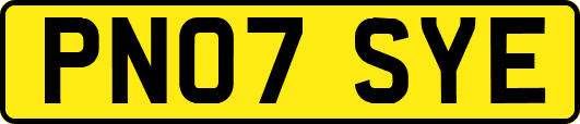 PN07SYE