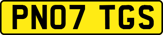 PN07TGS