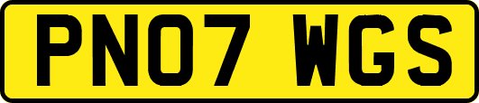 PN07WGS