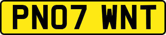 PN07WNT