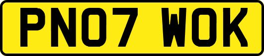 PN07WOK