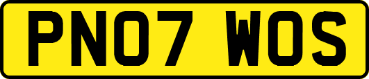 PN07WOS