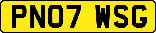 PN07WSG
