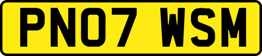 PN07WSM