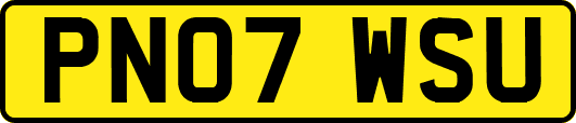 PN07WSU