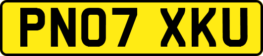 PN07XKU