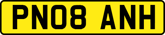 PN08ANH