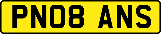PN08ANS