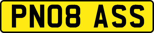 PN08ASS