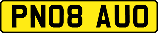 PN08AUO