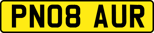 PN08AUR