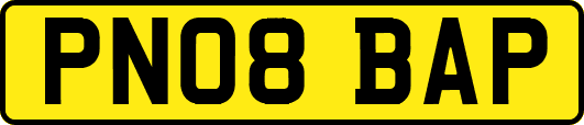 PN08BAP