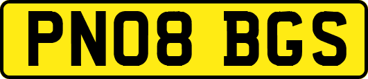 PN08BGS