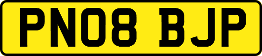 PN08BJP