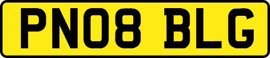 PN08BLG