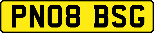 PN08BSG