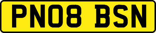 PN08BSN