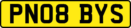 PN08BYS